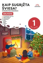 Kaip sugrįžta šviesa? Gruodis. 1 klasė. Integruotas vadovėlis „Vaivorykštė“, 4 dalis